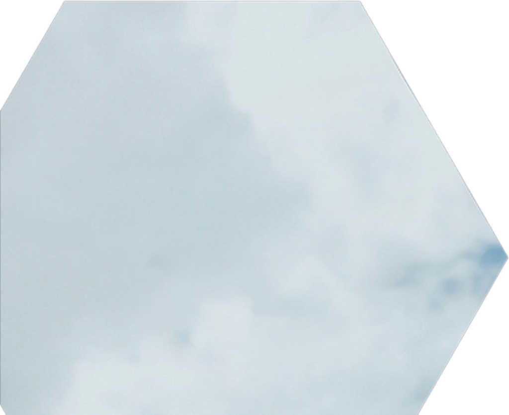 SLCAP Drones